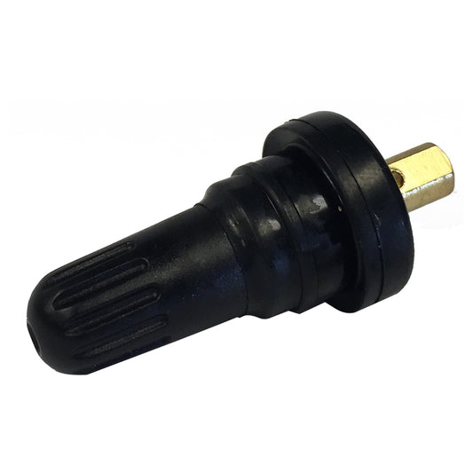 Short TPMS Metal Valve for Inside Valve Holes