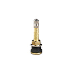 2" Brass Truck Valve (TR 500)