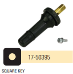 Snap-In Valve for TRW Sensor, Square Key